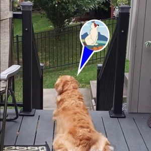 Meet your Posher, Tim